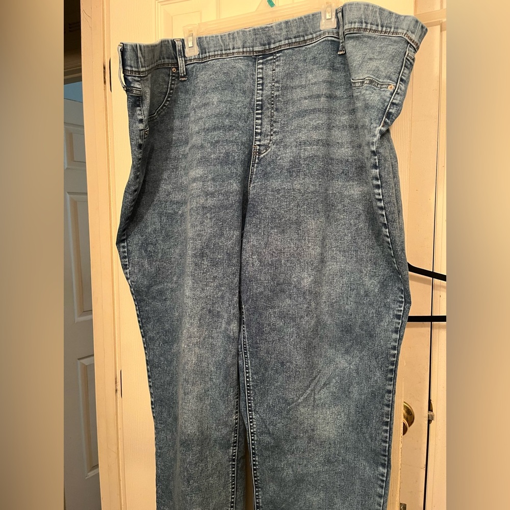 4X Terra & Sky Denim Jeggings